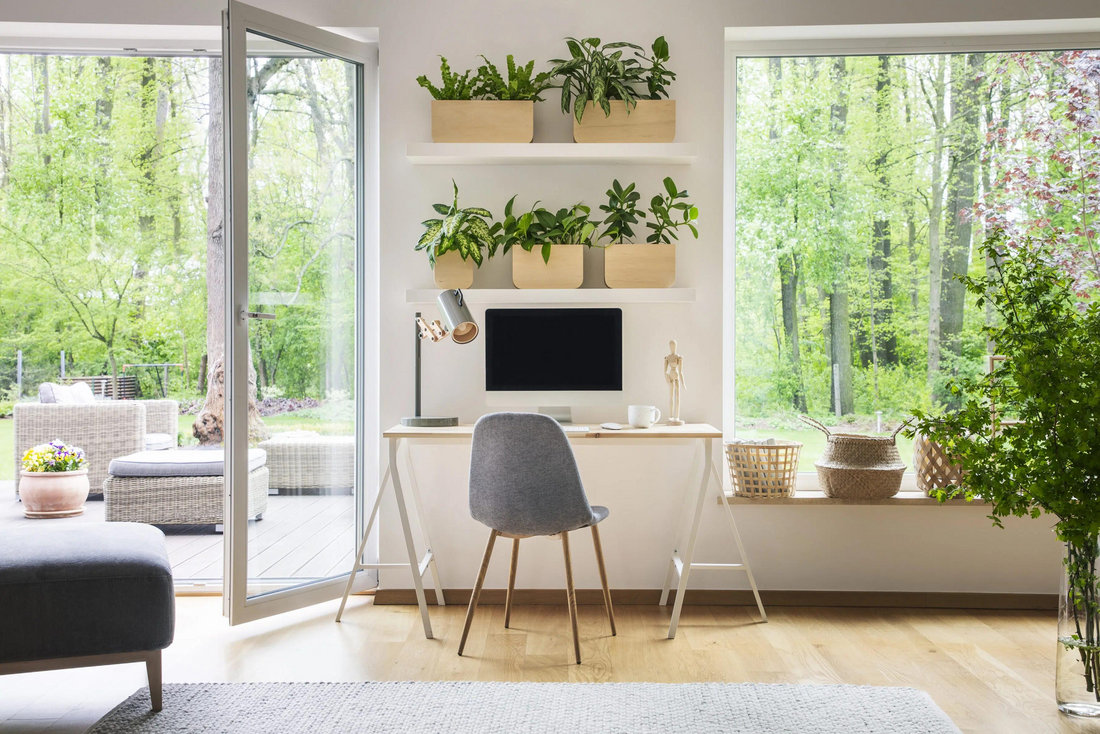 Declutter Your Space, Clear Your Mind: How an Organized Home Can Support Everyday Wellness