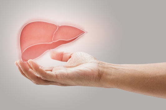 Understanding Your Liver 5 Vital Ways Your Liver Keeps You Healthy