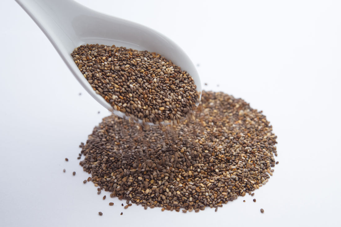The Hydro-Colloid Matrix: Engineering Sustained Satiety Through Non-Thermal Seed Blending