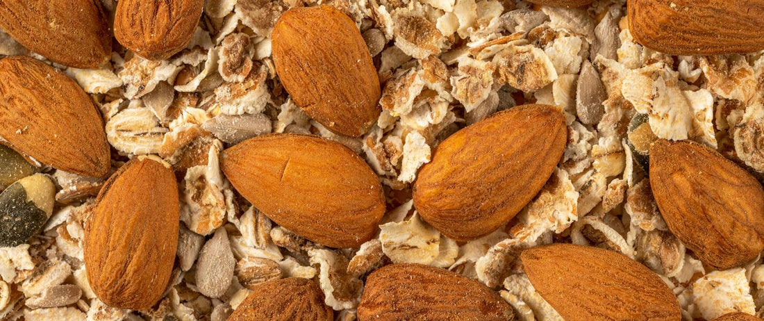 The Anti-Nutrient Paradox: How to Unlock the Locked Minerals in Seeds and Grains