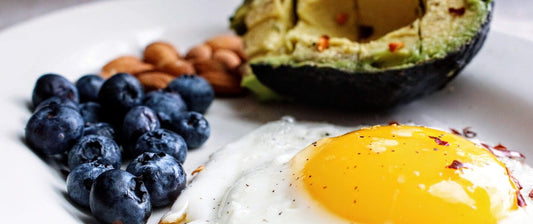 The Circadian Kitchen: How Nutrient Timing Transforms Your Food Into a Biological Switch