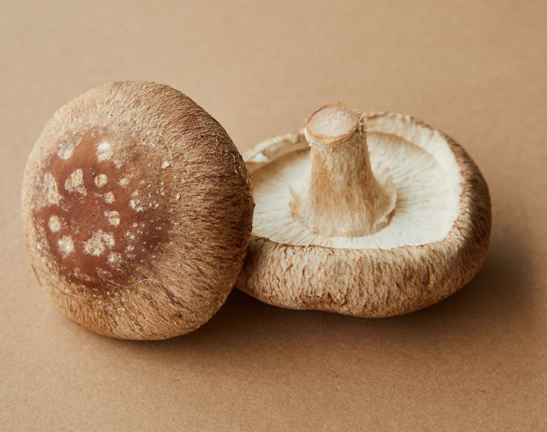 The Ice and Simmer Method: How Pre-Freezing Your Fresh Mushrooms Destroys Their Rigid Cellular Walls to Unlock Maximum Gut-Healing Nutrients