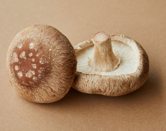 The Ice and Simmer Method: How Pre-Freezing Your Fresh Mushrooms Destroys Their Rigid Cellular Walls to Unlock Maximum Gut-Healing Nutrients