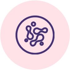 PREBIOTIC FIBER