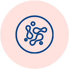 PREBIOTIC FIBER