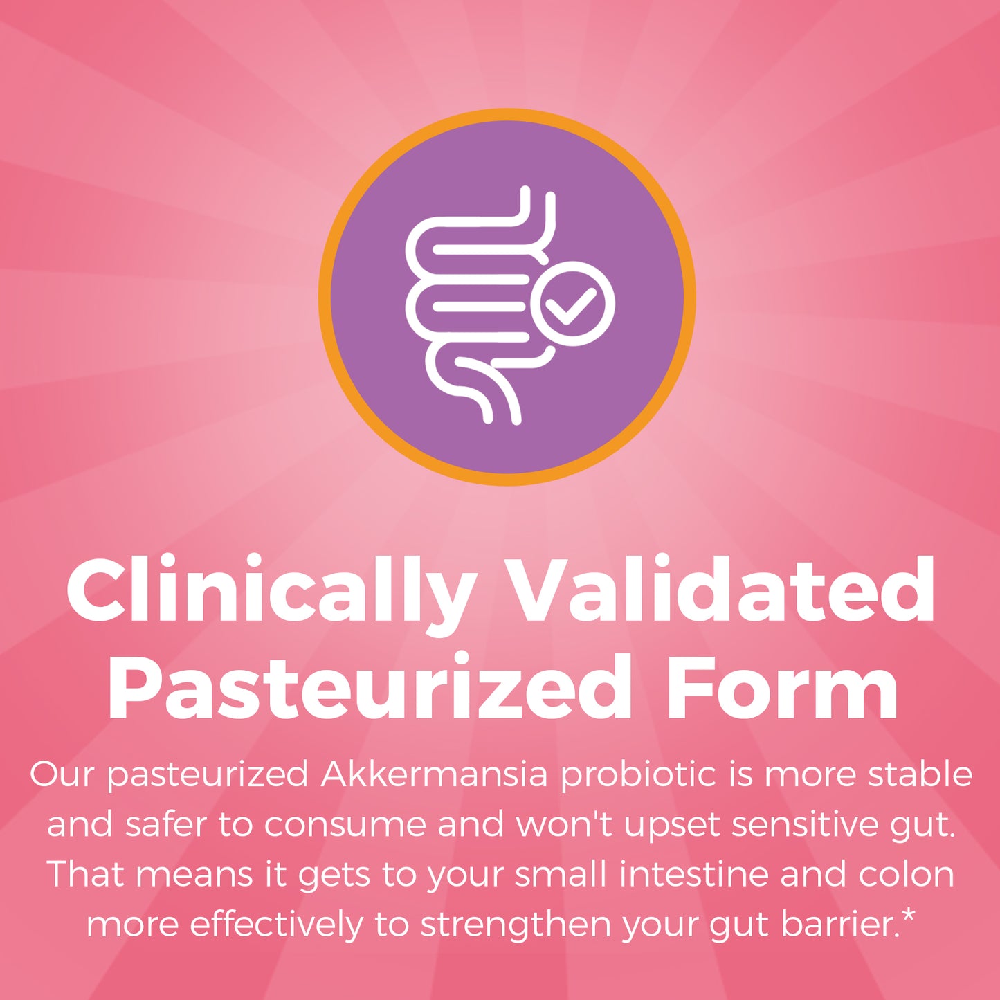 Women's Probiotics + Akk