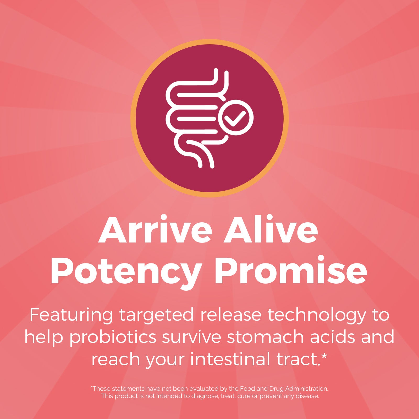 NewRhythm Women's Probitoics + Pineapple features targeted release technology to reach your intestinal tract alive